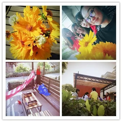 網(wǎng)勢(shì)科技6周歲生日快樂！